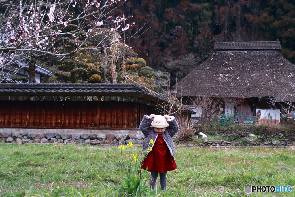 里山。春はそこまで