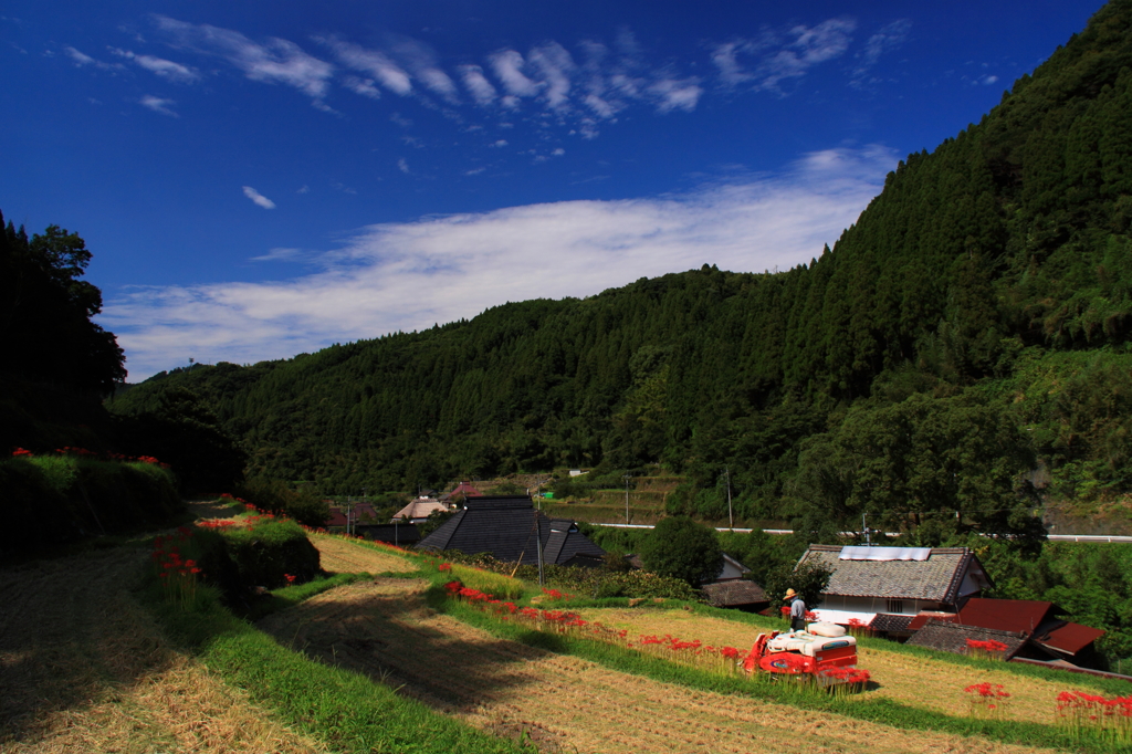 秋の里山