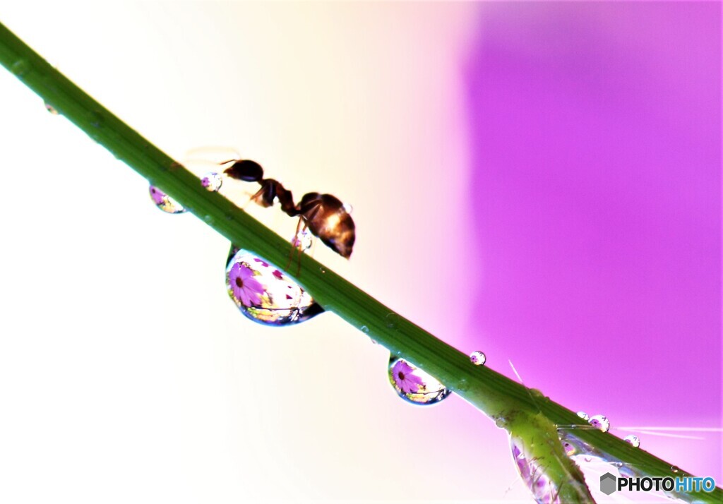 水滴メルヘン。其の1