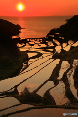 浜野浦棚田