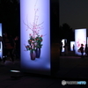 夜のやまぐち夢花博