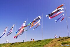 青空に泳ぐ