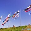 青空に泳ぐ