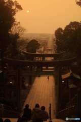 もうすぐ光の道に
