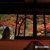 魚楽園の紅葉