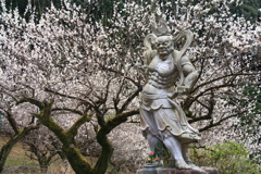 梅林の監視