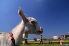 春ですね～