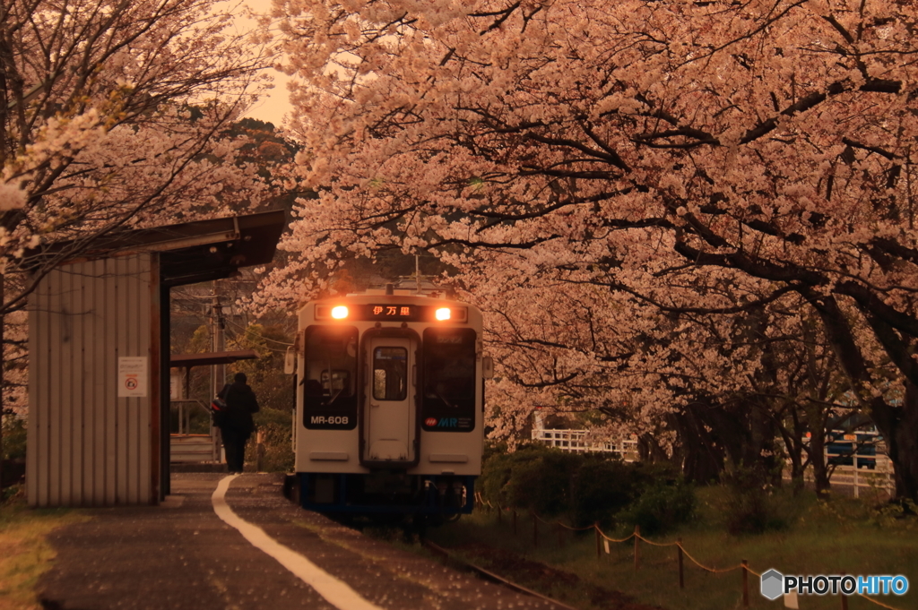 宵桜の駅