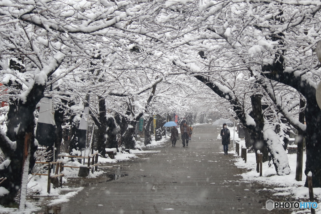 雪の秋月城下