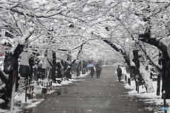 雪の秋月城下