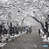 雪の秋月城下
