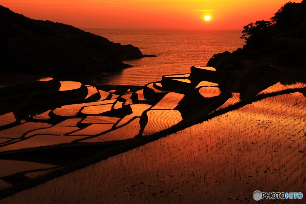 浜の浦棚田