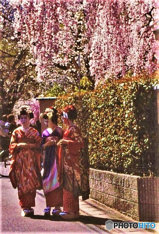 桜咲くころ