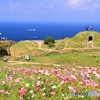 空と海が溶け合う場所
