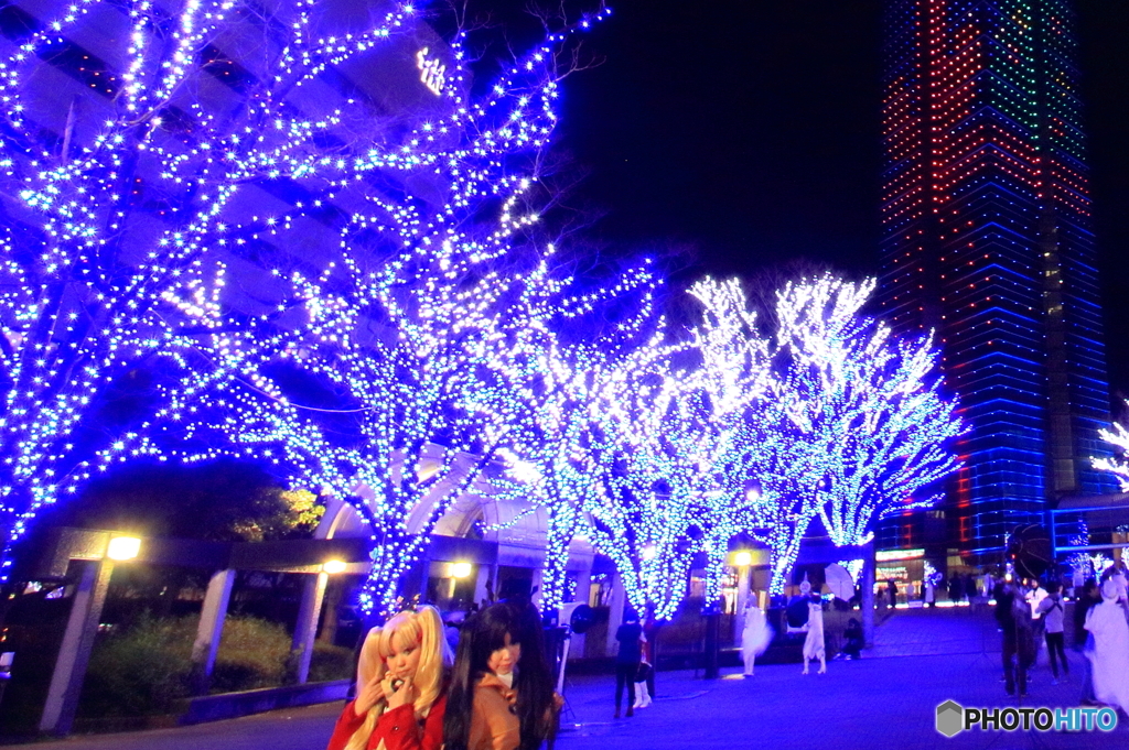 魅惑の夜に誘われて