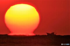 鐘崎ダルマ太陽