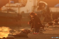 漁港の少女