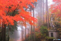 霧の呑山観音寺