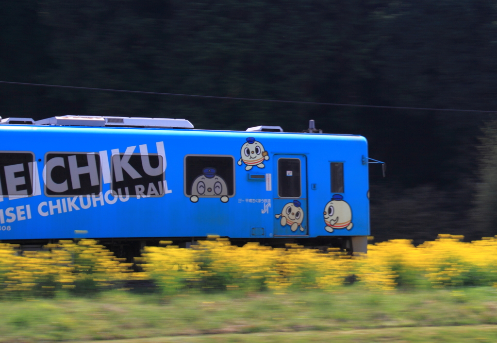 ローカルで頑張る