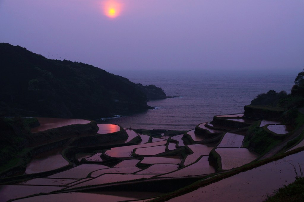 浜野浦棚田