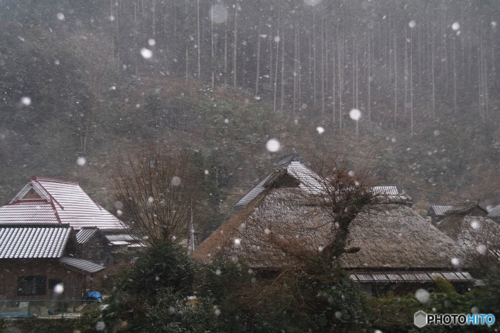 里山。春待ち雪
