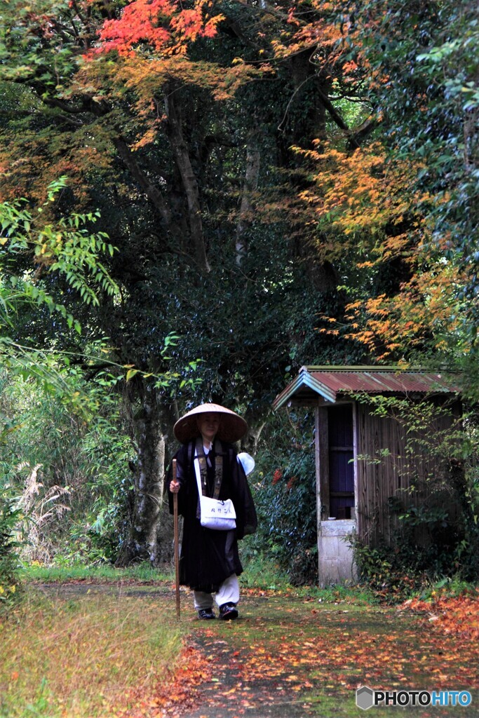 晩秋の小路