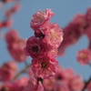 残り１