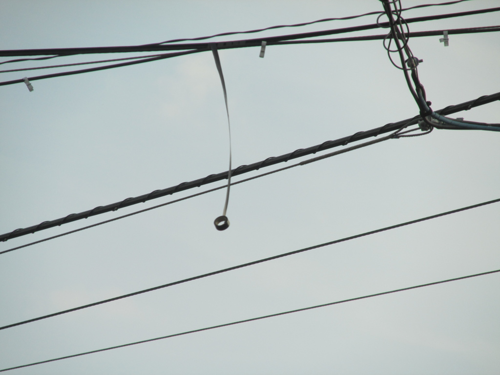 風に揺られてぶーらぶら