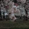 IMG_4001