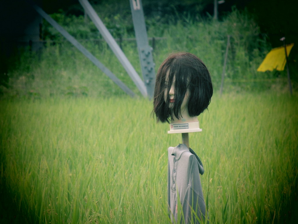 転職したものの