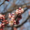 これから、これから
