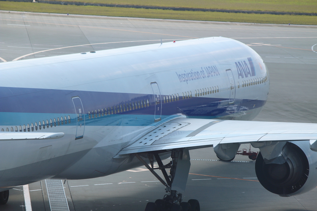 プッシュバック