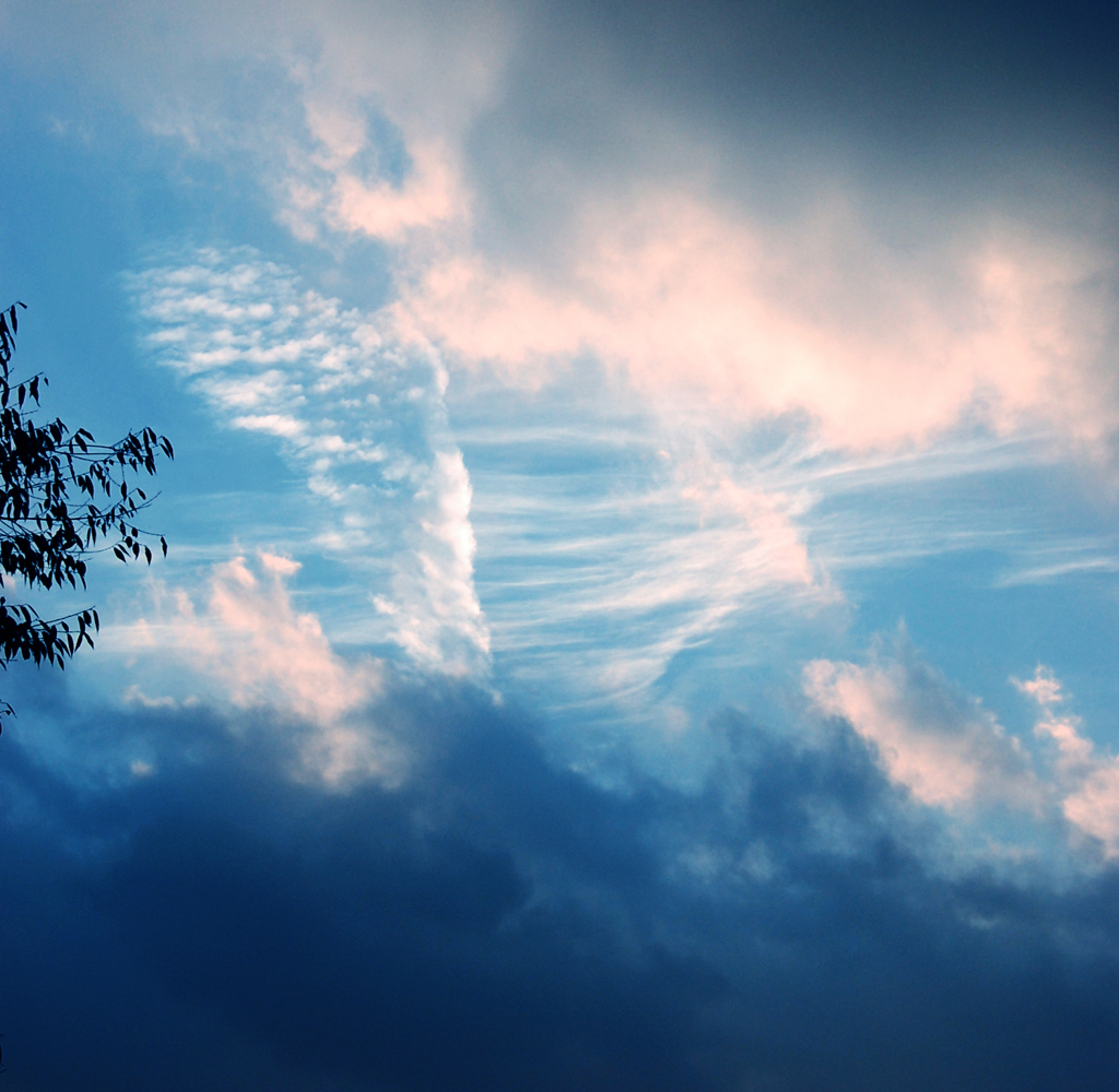 空が飛んでる