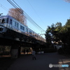 井の頭公園内の鉄橋