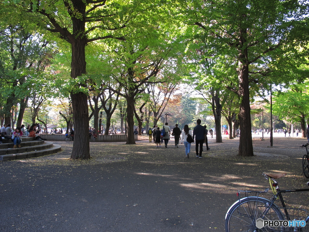 午後の上野公園