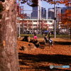 Nikon f90x試写01