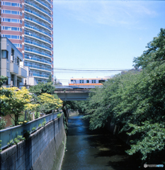 神田川　万亀橋から望む中央線