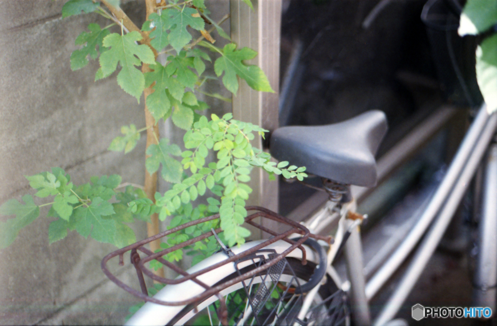 OM-2SP試写01