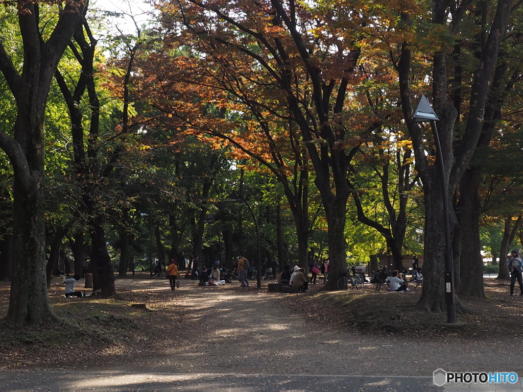 上野公園の秋
