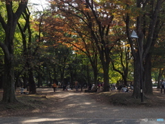 上野公園の秋