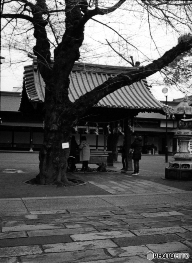 妙法寺手水舎