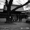 妙法寺手水舎