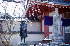 新井薬師境内