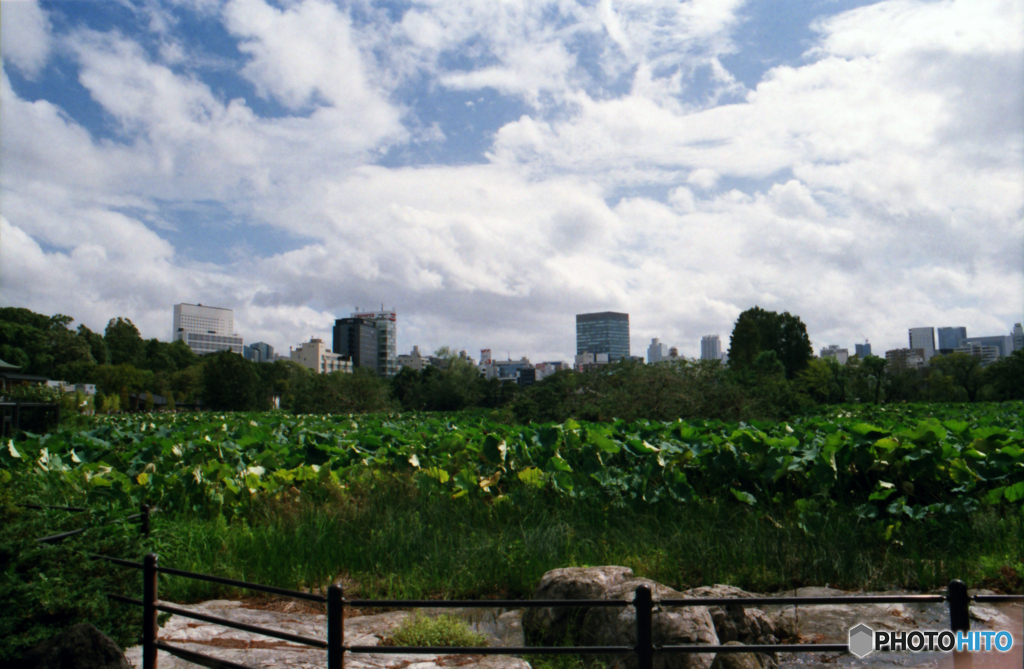 OM-2SP試写03