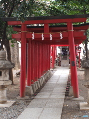 新宿　花園神社