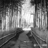 竹林のある公園