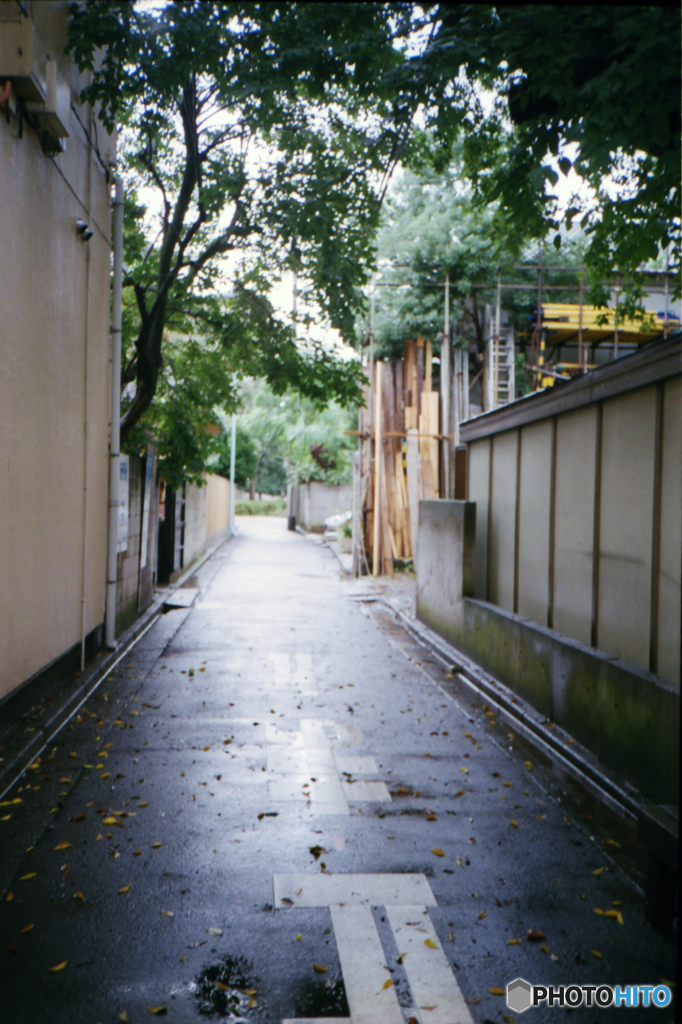 9月の雨03