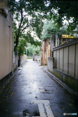 9月の雨03