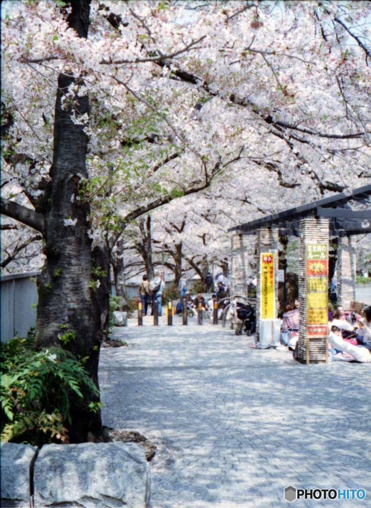 新井薬師公園