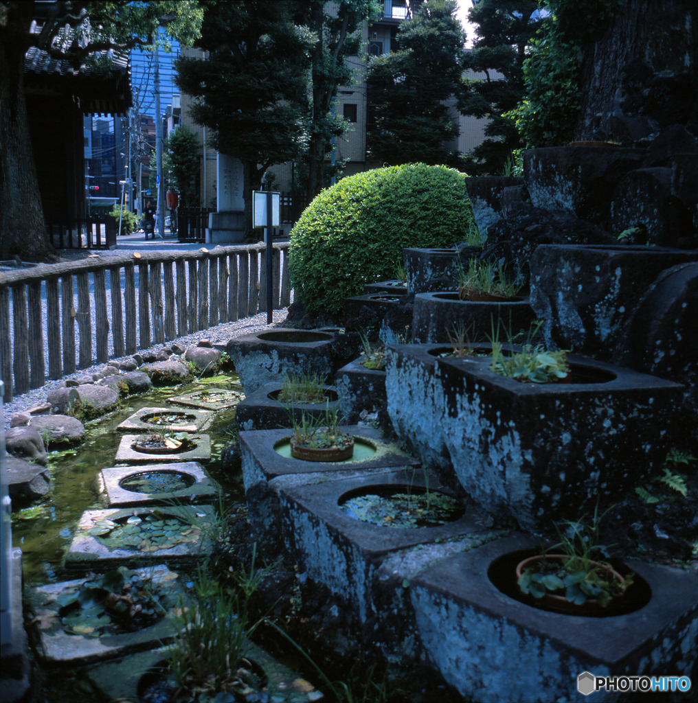中野宝仙寺石臼塚02